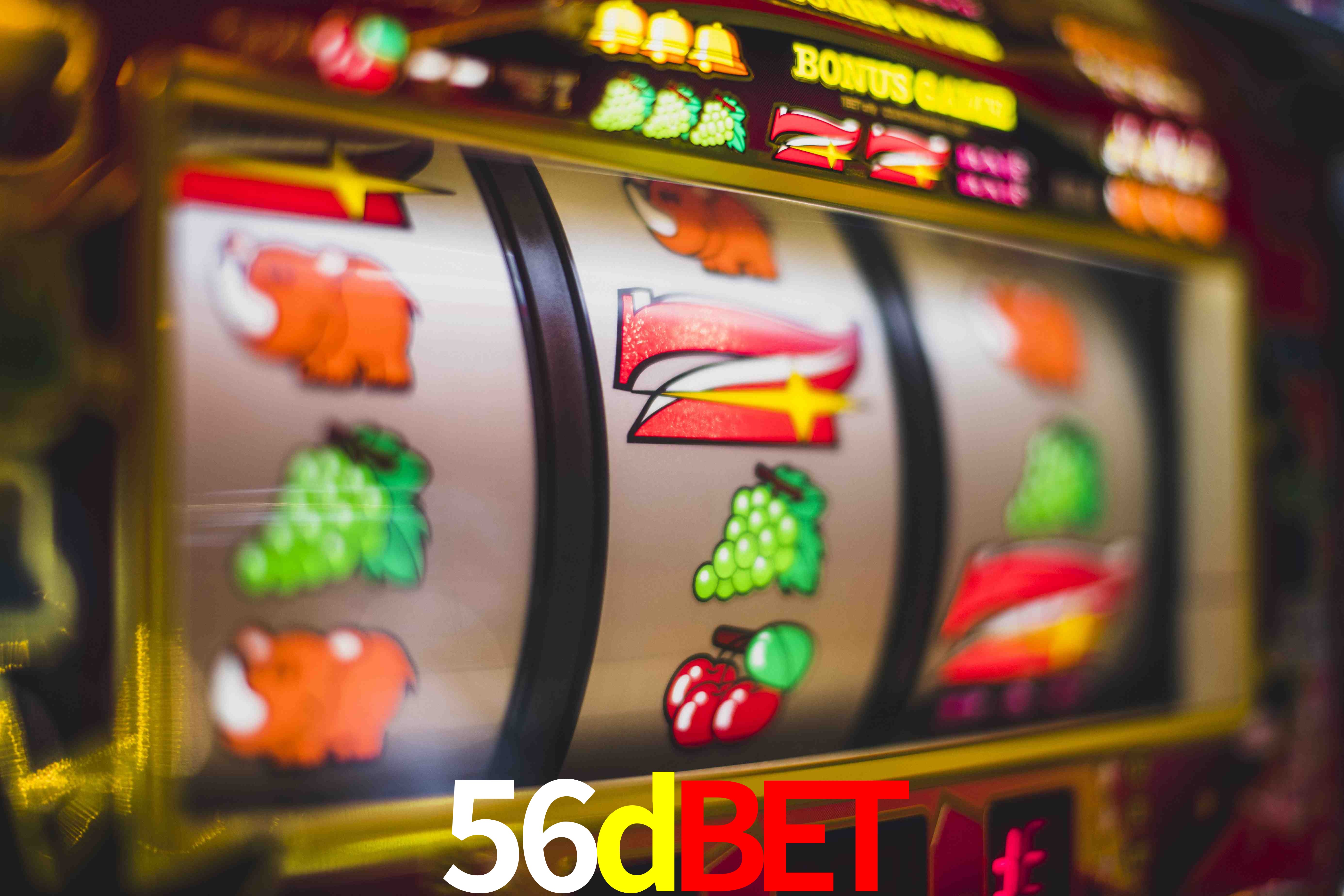 Tennis Betting 56dbet